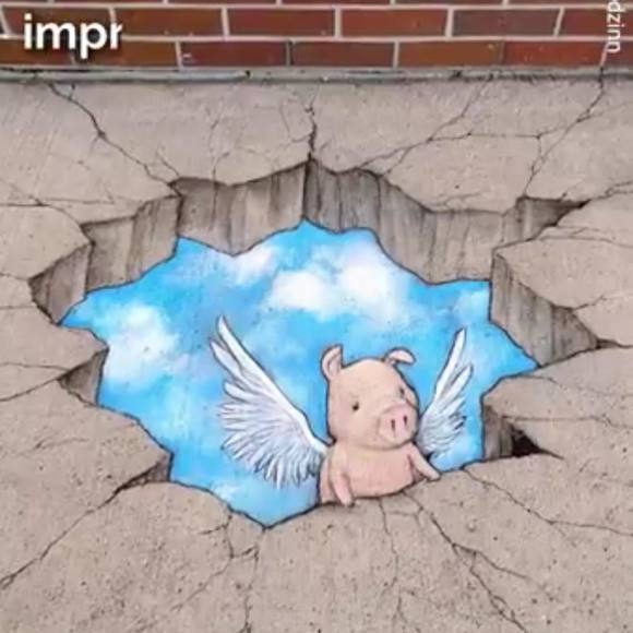 Meet your Posher, Laika - Picture 1 of 1